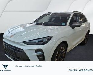 Cupra Terramar Gebrauchtwagen