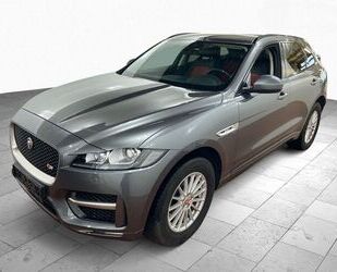 Jaguar F-Pace Gebrauchtwagen
