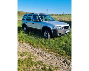 Ford Maverick Gebrauchtwagen