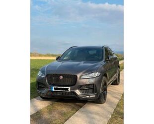 Jaguar F-Pace Gebrauchtwagen