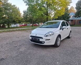Fiat Punto Gebrauchtwagen