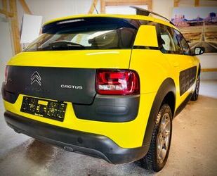 Citroen C4 Cactus Gebrauchtwagen