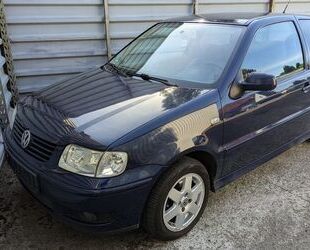 VW Polo Gebrauchtwagen
