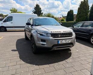 Land Rover Range Rover Evoque Gebrauchtwagen