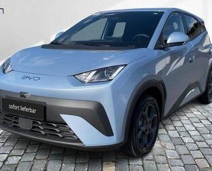 BYD DOLPHIN Gebrauchtwagen