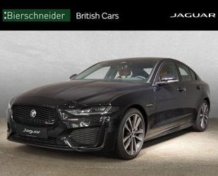 Jaguar XE Gebrauchtwagen