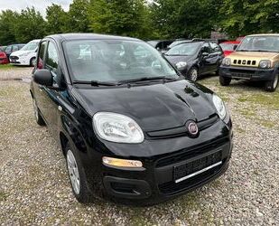 Fiat Panda Gebrauchtwagen