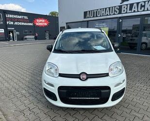 Fiat Panda Gebrauchtwagen