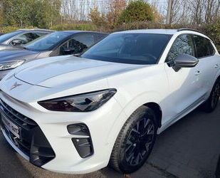 Cupra Terramar Gebrauchtwagen