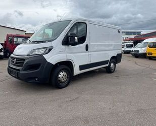 Fiat Ducato Gebrauchtwagen