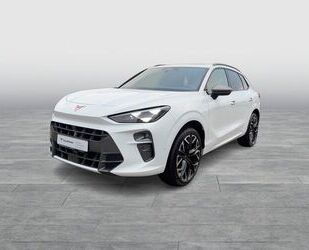 Cupra Terramar Gebrauchtwagen