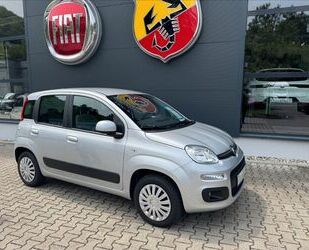 Fiat Panda Gebrauchtwagen