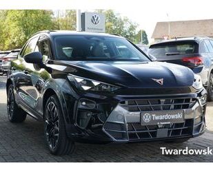 Cupra Terramar Gebrauchtwagen
