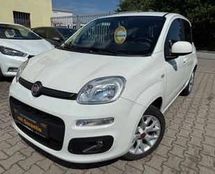 Fiat Panda Gebrauchtwagen
