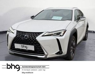Lexus UX Gebrauchtwagen