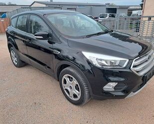 Ford Kuga Gebrauchtwagen