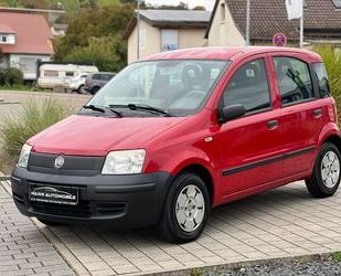 Fiat Panda Gebrauchtwagen
