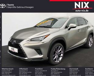 Lexus NX 300 Gebrauchtwagen