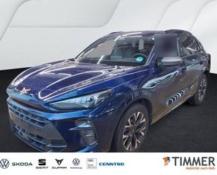 Cupra Terramar Gebrauchtwagen