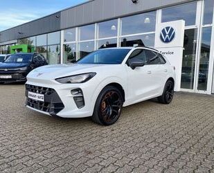 Cupra Terramar Gebrauchtwagen