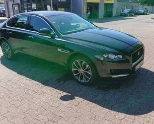 Jaguar XF Gebrauchtwagen