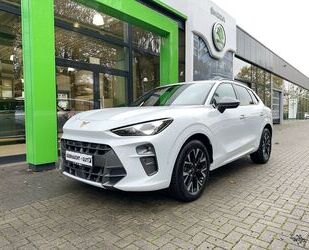 Cupra Terramar Gebrauchtwagen