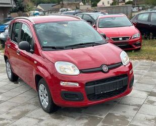 Fiat New Panda Gebrauchtwagen