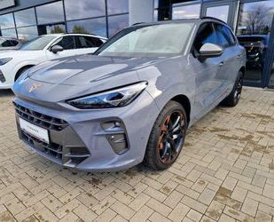 Cupra Terramar Gebrauchtwagen