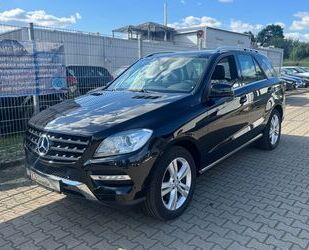 Mercedes-Benz ML 350 Gebrauchtwagen