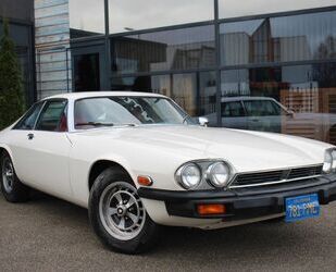 Jaguar XJS Gebrauchtwagen