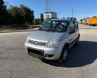 Fiat Panda Gebrauchtwagen