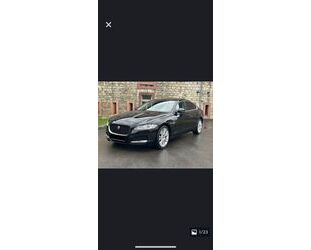 Jaguar XF Gebrauchtwagen