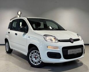Fiat Panda Gebrauchtwagen