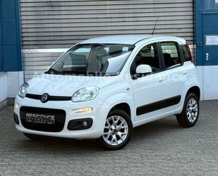 Fiat Panda Gebrauchtwagen