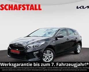 Kia ceed / Ceed Gebrauchtwagen