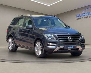 Mercedes-Benz ML 250 Gebrauchtwagen