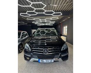 Mercedes-Benz ML 250 Gebrauchtwagen