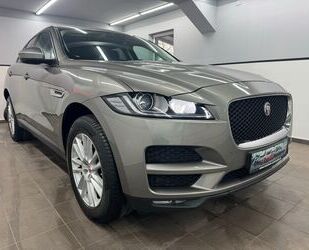 Jaguar F-Pace Gebrauchtwagen
