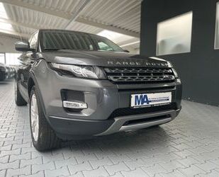 Land Rover Range Rover Evoque Gebrauchtwagen
