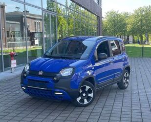 Fiat Panda Gebrauchtwagen