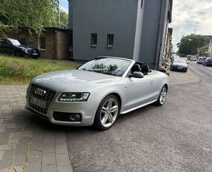 Audi S5 Gebrauchtwagen
