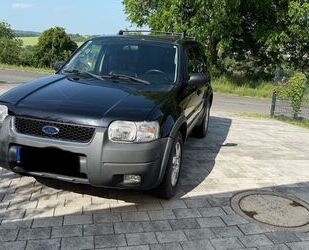 Ford Maverick Gebrauchtwagen