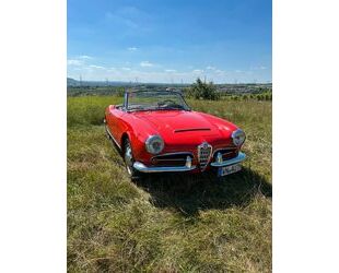 Alfa Romeo Giulia Gebrauchtwagen