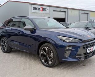 Cupra Terramar Gebrauchtwagen