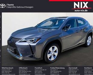 Lexus UX Gebrauchtwagen