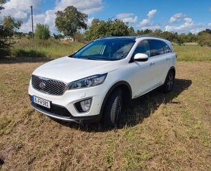 Kia Sorento Gebrauchtwagen