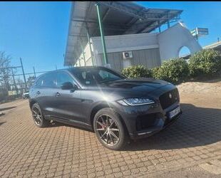 Jaguar F-Pace Gebrauchtwagen