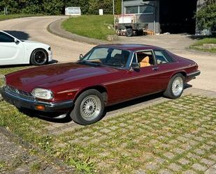 Jaguar XJS Gebrauchtwagen