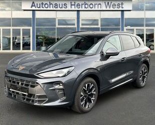 Cupra Terramar Gebrauchtwagen