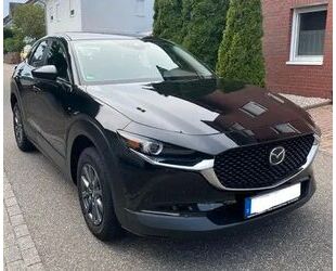 Mazda CX-30 Gebrauchtwagen